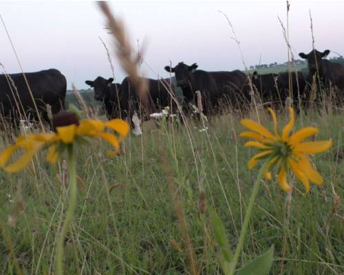 ZWT Ranch Gallery